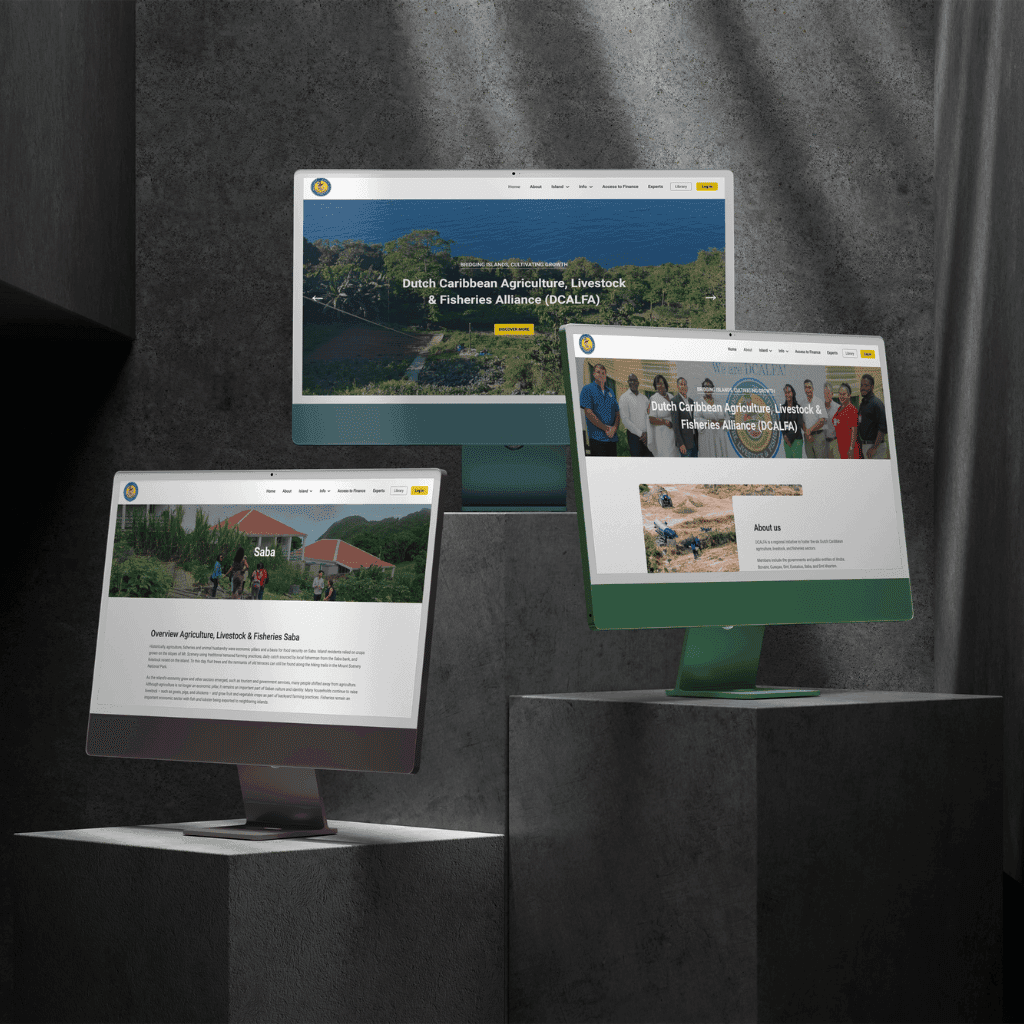DCALFA, Regional alliance by Let's Build That Site